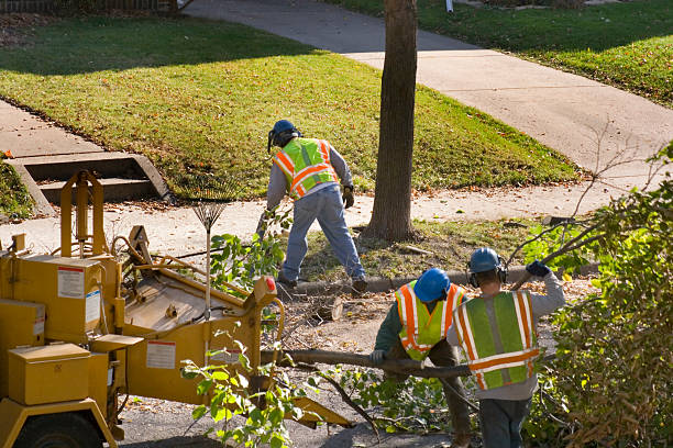 Lawn Watering Services in Coosada, AL